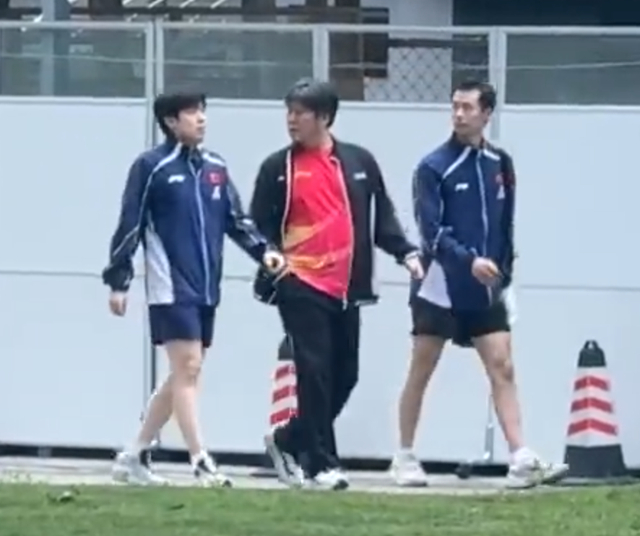 国乒备战伦敦世乒赛 王楚钦伤病隐患引关注